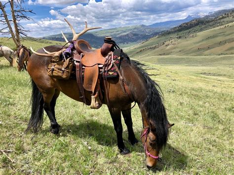 Wyoming Dude Ranch Rated One Of The Worlds Best Ranches