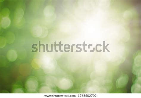 Abstract Blur Green Foliage Tree Jungle Stock Photo 1768502702
