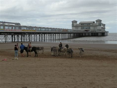 Donkeys On The Beach At Weston Super Mare Somerset