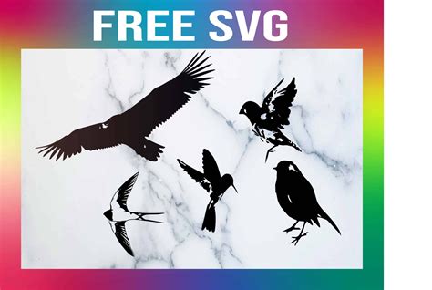 Free Birds SVG