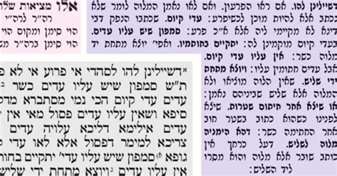Rabbi Menachem Creditor Text