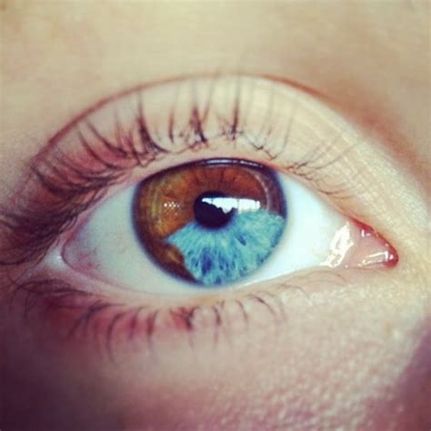 Heterochromia | Tumblr