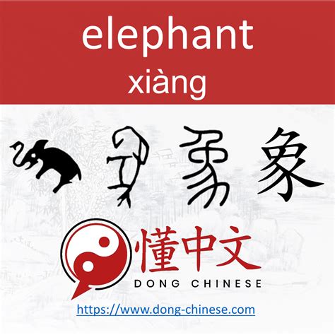 Evolution Of 象 Xiàng Elephant Mandarin Chinese Learning Learn