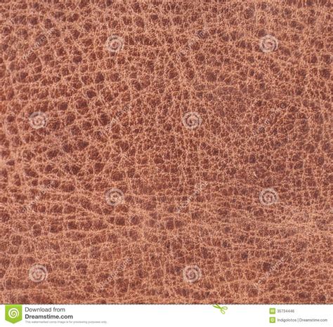Close Up Of Brown Leather Texture Stock Photo Image Of