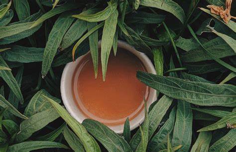 Диеты потеря веса Смузи, фреши и детоксы: почему на них нельзя худеть и что действительно Смузи, фреши и детоксы: почему на них нельзя худеть и что действительно Диеты потеря веса