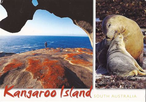 A Journey Of Postcards Kangaroo Island Australia