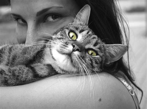 Even human hairs often fall for various reasons, and removing them from surfaces such as carpets costs a lot. How to get cat pee smell out of carpet | Odor Expert ...
