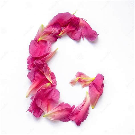 Alphabet Made Of Peony Petals Letter G Layout For Design Stock Photo