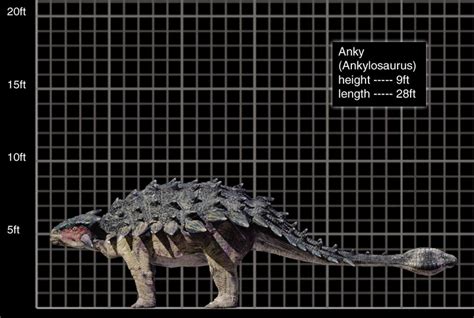 Image 800x537 Ankylosaurus  Park Pedia Jurassic Park Dinosaurs Stephen Spielberg