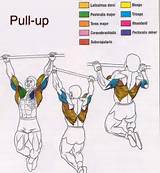 Strengthening Muscles For Pull Ups