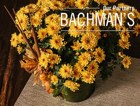 Bachmans Flowers Flower