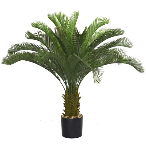 We did not find results for: Vintage Home | Artificial Cycas Palm Tree | VHX111