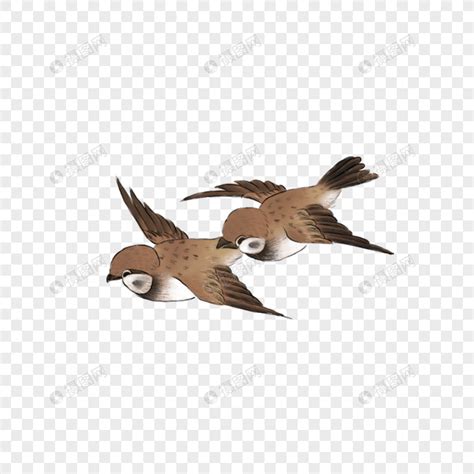 Tugas sekolah untuk mewarnai gambar burung menjadi alternatif yang baik saat ini. Gambar burung png clipart collection - Cliparts World 2019
