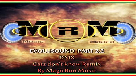 Dmx Catz Dont Know Mrm Remix Youtube