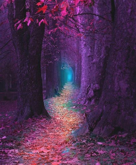 Fantasy Path In 2019 Fantasy Landscape Beautiful Pictures Scenery