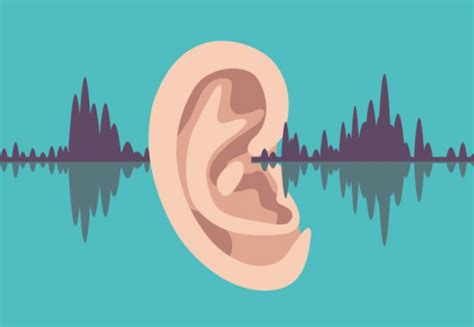 Understanding Of How The Ear Perceives Speech A Step Closer Imperial