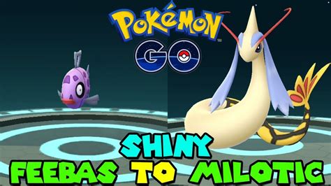 Evolving Shiny Feebas To Shiny Milotic In Pokemon Go Youtube