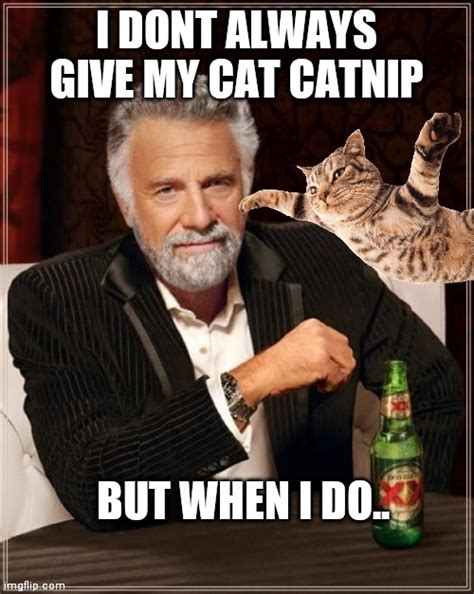 Dont Always Give Catnip Imgflip