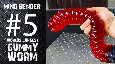 That sure is the largest gummy worm i've ever come across. MB#5 - Worlds Largest Gummy Worm (CLOSED) - YouTube