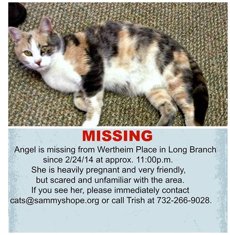 Check spelling or type a new query. FOUND!!! (as of 2/28/14) Long Branch, NJ - Urgent! - Lost ...