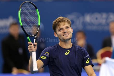 View the full player profile, include bio, stats and results for david goffin. David Goffin (BEL) fotografia stock editoriale. Immagine ...