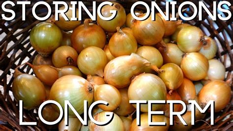 Storing Onions Long Term Youtube