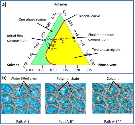 A Ternary Phase Diagram Of A Polymersolventnon Solvent System B