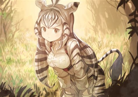 chapman's zebra (kemono friends) drawn by koruse | Danbooru