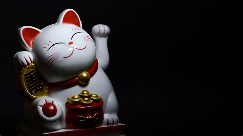 Japanese Lucky Cat Wallpapers 24 Images Inside