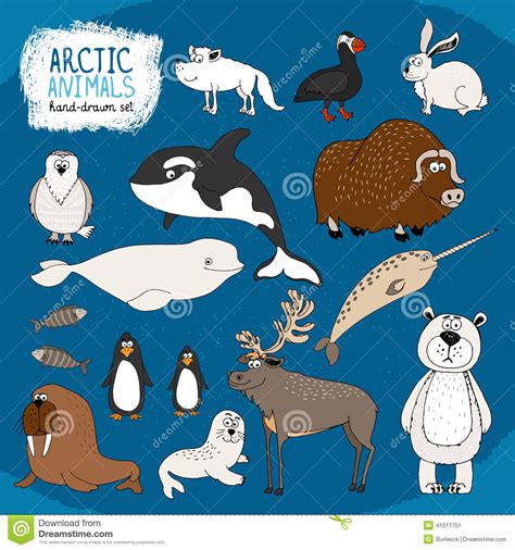 In our vast collection of engaging number games, your child will find a challenge that will help take their math skills to the next level, no matter where they are on their math journey. Set Of Hand-drawn Arctic Animals Stock Vector - Illustration of fish, deer: 41011751