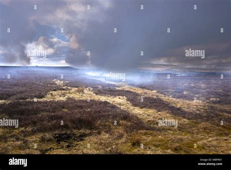 Grouse Moorland And February Heather Burning With Ash And Debris In