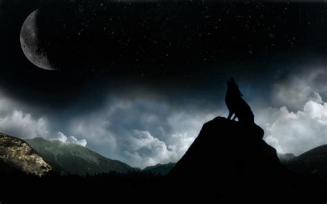 🔥 66 Wolf Howling At The Moon Wallpaper Wallpapersafari