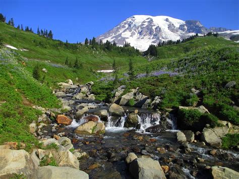 Mount Rainier National Park Explore Mother Earth