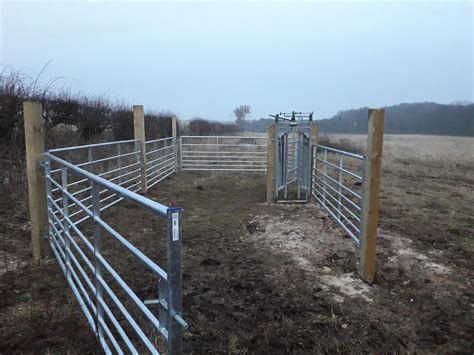 26 Best Ideas For Coloring Farm Catch Pens For Cattle