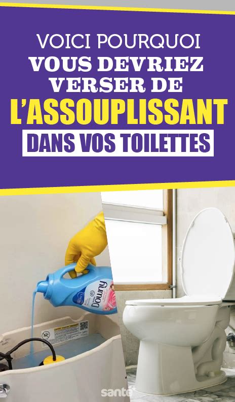 Parmi Toutes Les T Ches Domestiques Le Nettoyage Des Sanitaires Est