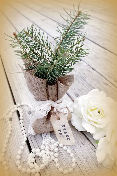 Burlap Bag And Rustic Tag On Tree Wedding Favor A Tree To