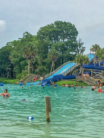 Whether you want to experience the city like a tourist or follow the locals, check out this great resource for your trip. Weeki Wachee Springs - 2018 All You Need to Know Before ...