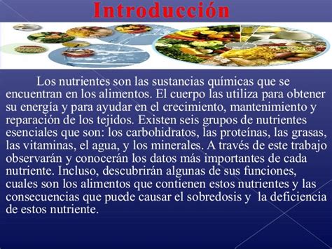 Los Seis Nutrientes Esenciales