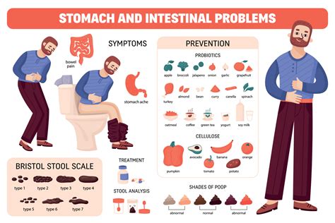 Human Poop Diagram Composition 7681437 Vector Art At Vecteezy