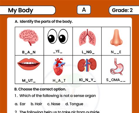 Free Worksheets For Cbse Evs