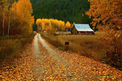 Autumn Cozy | Autumn scenery, Autumn scenes, Autumn cozy
