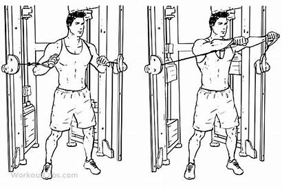 Chest Cable Press Standing Exercise Workout Workoutlabs
