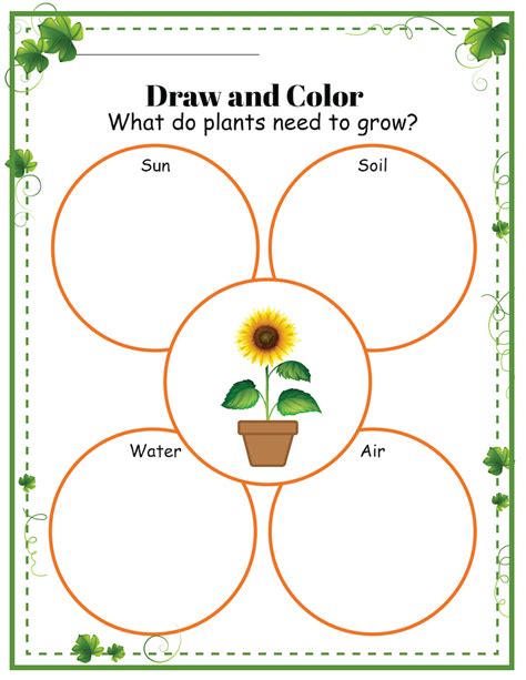 Parts Of A Plant Worksheet For Kids Free Printable