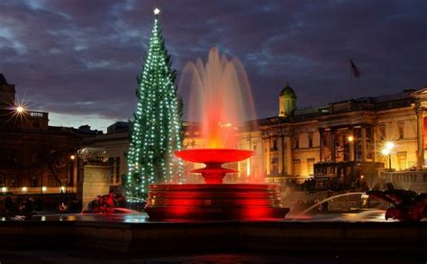 Top 10 Iconic Christmas Trees And Their Roots