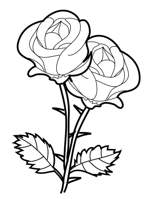 Rosas Para Pintar Coloring City