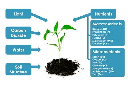 We did not find results for: Nutrient Requirements | SSWM