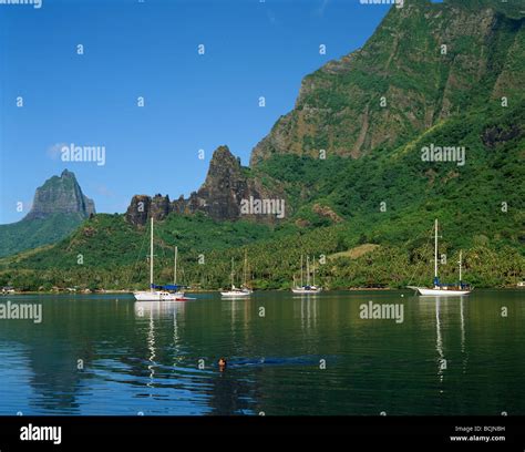 Tahiti Moorea Island Cooks Bay Stock Photo Alamy