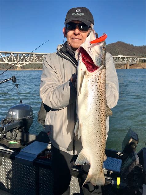They like the cold water, and i feel like they are constantly on the move looking for an easy meal. Fishing - Zero to hero on Shasta Lake!