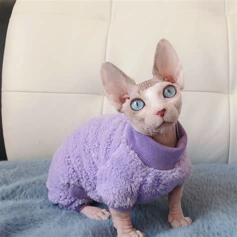 Purple Sweater For Sphynx Cat Warm Sweater For Hairless Cat Etsy