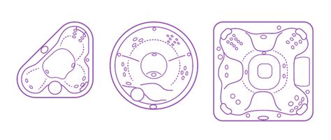 Jacuzzi bathtubs for small bathrooms kommentkard. Hot Tub | Jacuzzi Dimensions & Drawings | Dimensions.Guide